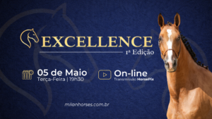 banner youtube