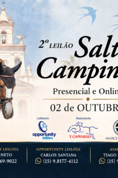 BANNER FINAL 2 LEILAO SALTA CAMPINAS