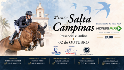 BANNER FINAL 2 LEILAO SALTA CAMPINAS